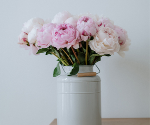 高貴典雅 圓形盆花禮